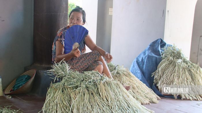 Những chiếc lá làm nón được xử lý kỹ lưỡng giúp cho người thợ có thể làm ra những chiếc nón có màu sắc đẹp.