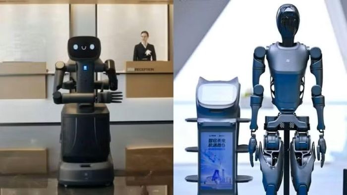 Robot nhân viên khách sạn.