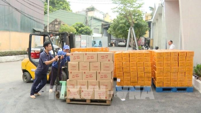Lực lượng Hậu cần - Kỹ thuật vận chuyển hàng hóa, lương thực, thực phẩm chuẩn bị lên đường sang Venezuela. Ảnh: TTXVN phát