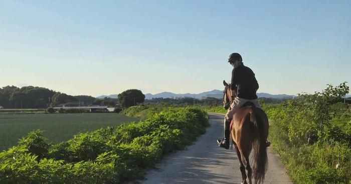 Lee Min Ho còn ghi điểm bởi những khoảnh khắc tương tác đầy tình cảm với chú ngựa của mình.