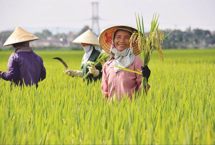Việt Nam đang nằm trong nhóm các quốc gia có tốc độ già hóa dân số nhanh nhất thế giới
