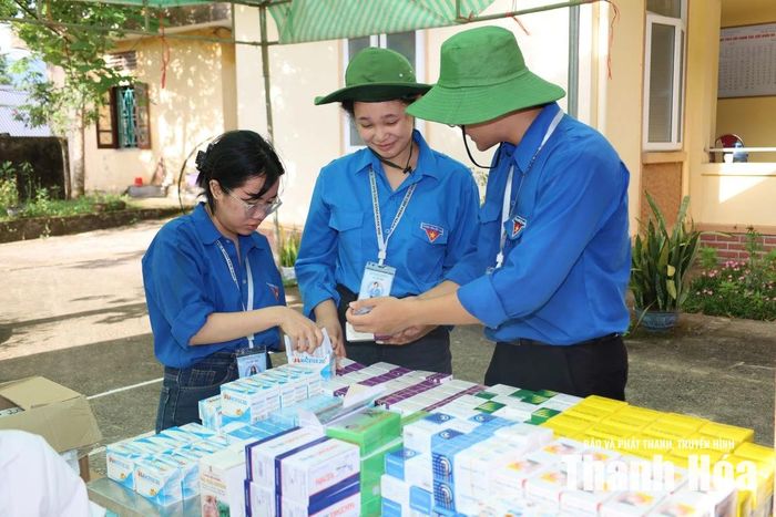 Lực lượng sinh viên tình nguyện sắp xếp các loại thuốc để phát miễn phí cho người dân.