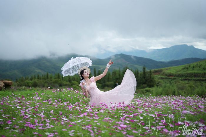 Vườn hoa đẹp như Đà Lạt thu nhỏ giữa vùng cao Pu Nhi. 