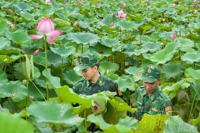 Cán bộ, chiến sĩ Đồn Biên phòng Leng Su Sìn thường xuyên chăm sóc, chỉnh trang hồ sen.