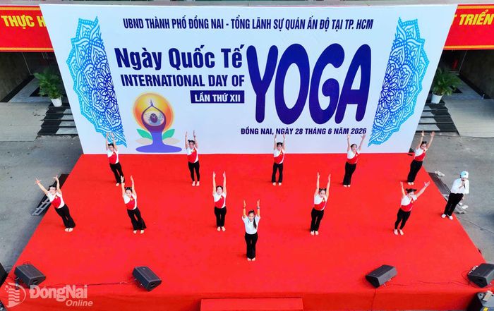 Các tiết mục đồng diễn yoga lan tỏa thông điệp sống khỏe, sống tích cực đến cộng đồng. Ảnh: LĐCC
