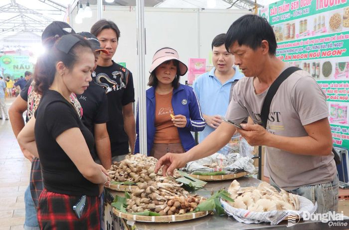 Nấm mối, loại đặc sản theo mùa thu hút du khách. Ảnh: Ngọc Liên