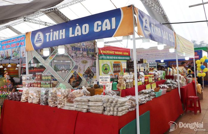 Tỉnh Lào Cai góp mặt tại lễ hội với gian hàng giới thiệu các sản phẩm đặc trưng của địa phương. Ảnh: Ngọc Liên