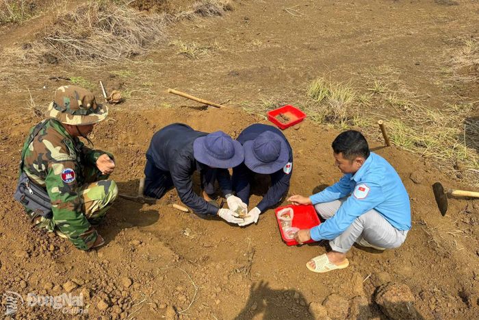 Các thành viên Đội K72 cẩn thận, tỉ mỉ tìm kiếm để không bỏ sót di vật của liệt sĩ. Ảnh: ĐVCC