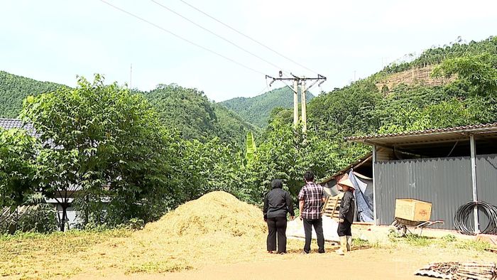 Đường dây 35 kV thuộc Dự án Cấp điện nông thôn từ lưới điện quốc gia tỉnh Yên Bái giai đoạn 2014 - 2025 đi qua phần đất của gia đình bà Bàn Thị Lai, thôn Làng Đam.