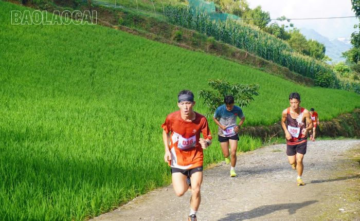 Các vận động viên nỗ lực thi đấu.