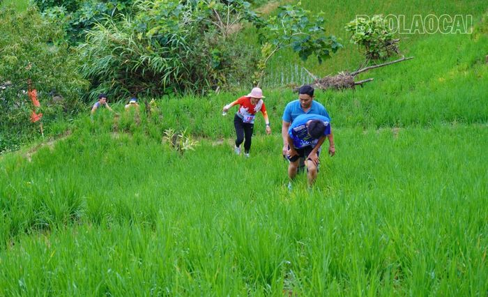 Quãng đường thi đấu dài khoảng 10 km, đi qua những cánh đồng ruộng bậc thang xanh mướt.