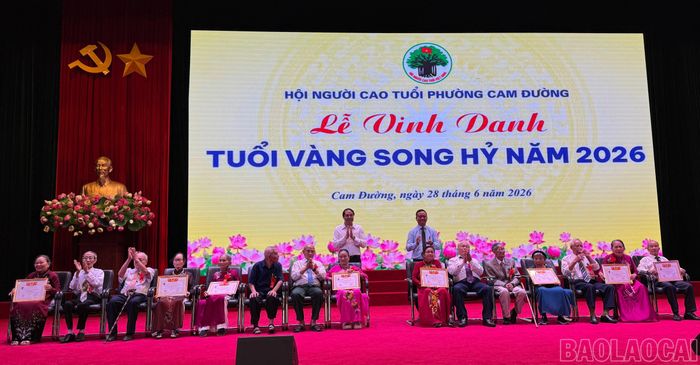 Các cặp đôi kim cương được vinh danh tại chương trình.