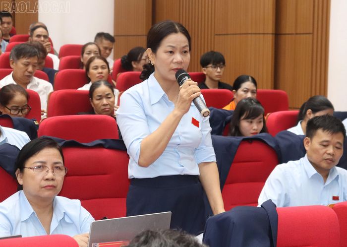 Đại biểu phát biểu ý kiến chất vấn tại kỳ họp.