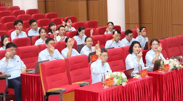 Đại biểu biểu quyết thông qua các nội dung tại kỳ họp.