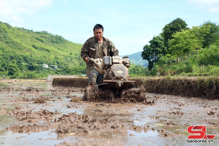 Nông dân khẩn trương làm đất sau thu hoạch, bảo đảm khung thời vụ và khai thác hiệu quả quỹ đất nông nghiệp.