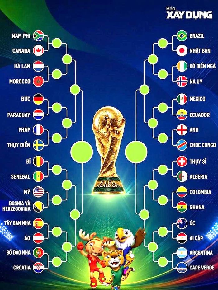 Xác định các nhánh đấu tại World Cup 2026. 