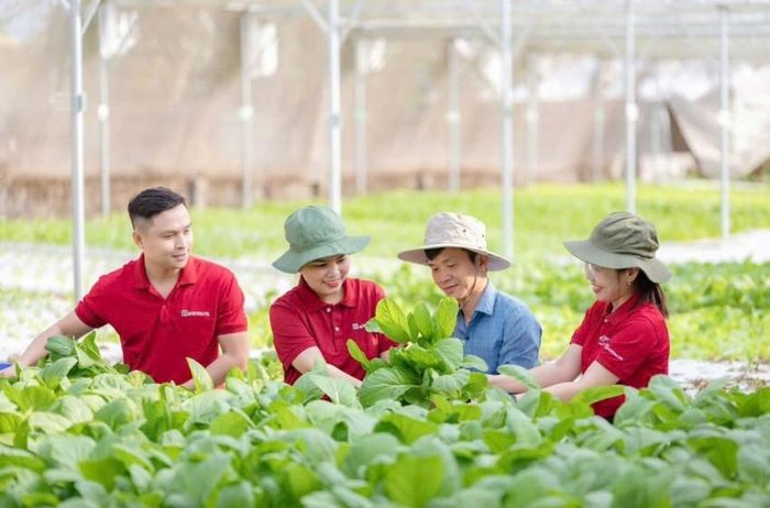Vốn Agribank - chủ lực của khu vực "Tam nông"