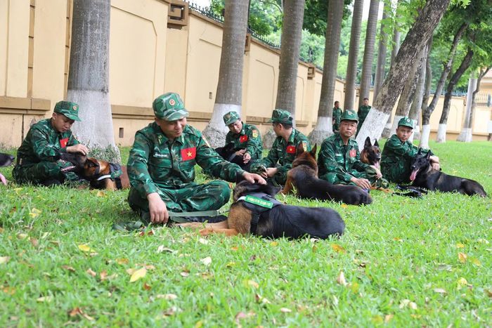 Đội sử dụng chó nghiệp vụ tìm kiếm cứu nạn gồm 10 đồng chí và sử dụng 8 chó nghiệp vụ.