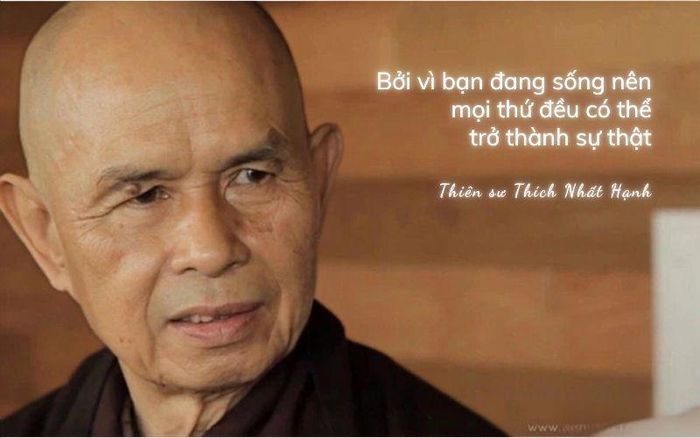 Hình minh họa. Nguồn: Internet