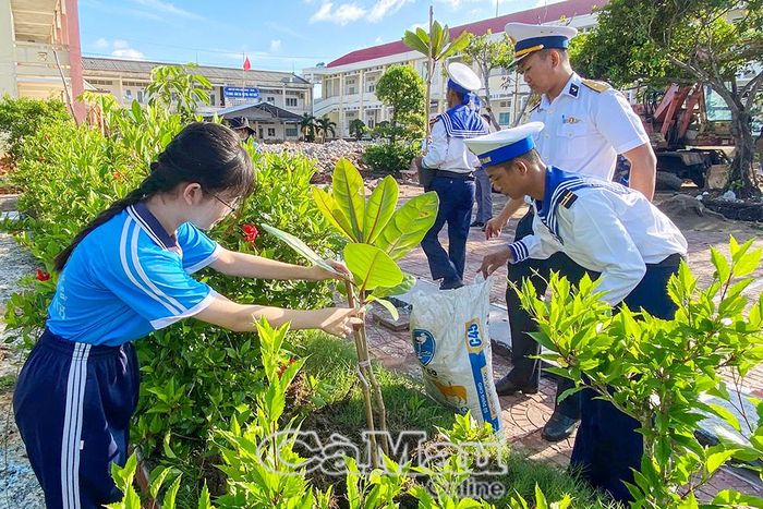Những cây bàng vuông có nguồn gốc từ quần đảo Trường Sa được trồng trong khuôn viên Trường THCS Hàng Vịnh.