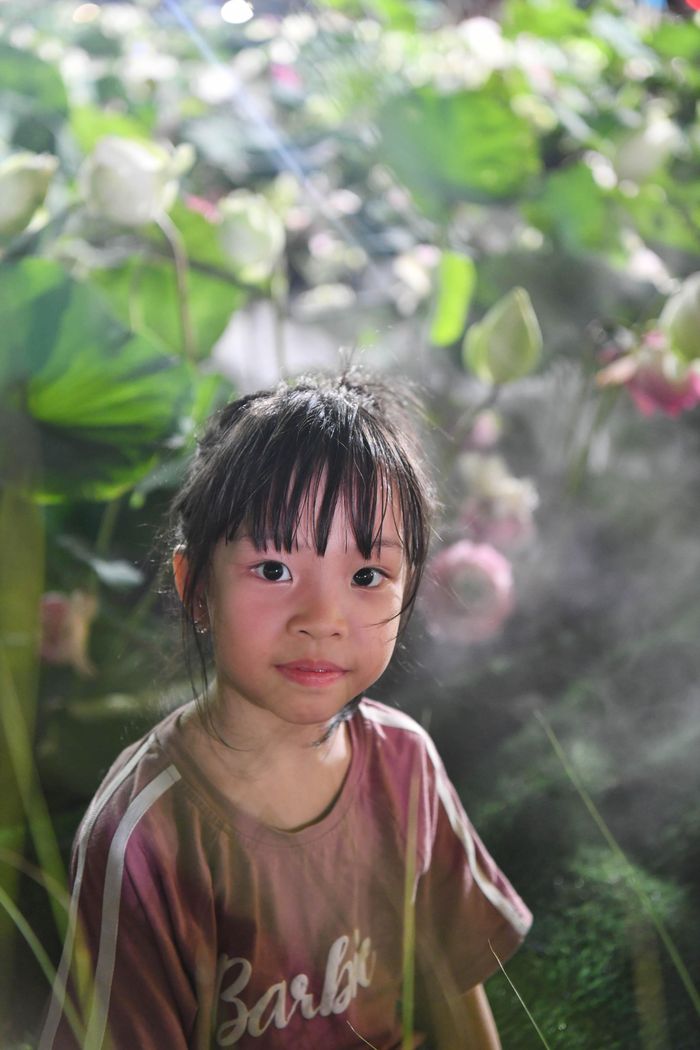Em bé bên hồ sen…
