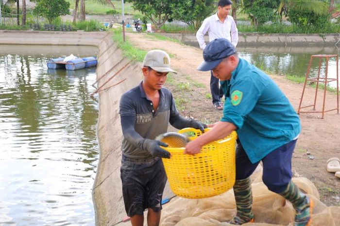 Lao động địa phương làm việc tại trang trại của ông Chuyền có việc làm ổn định và thu nhập thường xuyên