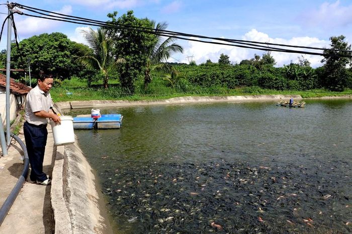 Mô hình nuôi cá nước ngọt mang lại doanh thu khoảng 400 triệu đồng mỗi năm