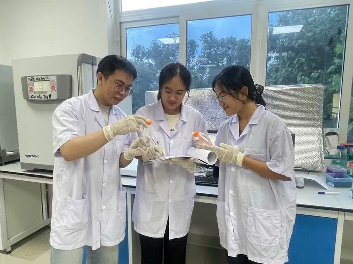 Từ nguồn dược liệu nghệ trắng được thu hái tại tỉnh Trà Vinh, nhóm nghiên cứu đã xây dựng thành công quy trình thu nhận và chuẩn hóa cao chiết từ thân rễ cây nghệ trắng. (Ảnh: TRUNG HIẾU)