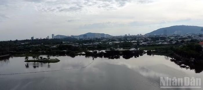 Hồ Bàu Trũng ở phường Tam Thắng.