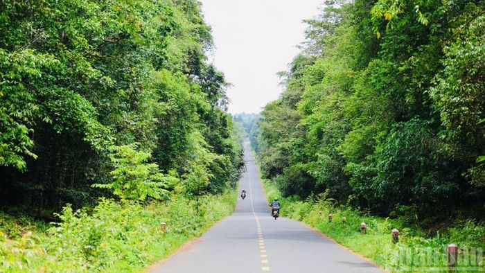 Thành phố Đồng Nai đầu tư xây dựng dự án đường kết nối từ cầu Mã Đà đến đường Vành đai 4-Thành phố Hồ Chí Minh với quy mô hoàn thiện 8 làn xe.