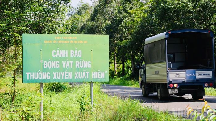 Khu vực xây dựng tuyến đường đi qua rừng đặc dụng, nơi có nhiều động vật rừng sinh sống, do đó, được thiết kế xây đường trên cao để không chia cắt sinh cảnh sống.