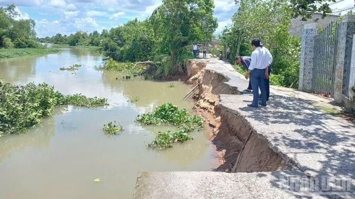 Sạt lở bờ Nam kênh Cái Lân.