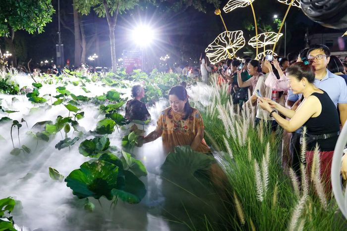 Nằm trong chuỗi Không gian "Sen-Tinh hoa và đời sống", hàng loạt giống sen quý đặc trưng của Hà Nội cùng nhiều địa phương trên cả nước được quy tụ và trưng bày nghệ thuật, mang đến cho người xem cái nhìn toàn cảnh về sự phong phú của loài quốc hoa.