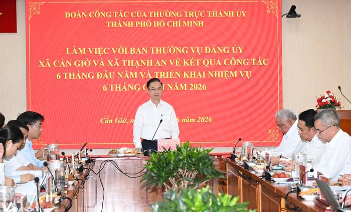  Đồng chí Đặng Minh Thông, Phó Bí thư Thành ủy TPHCM phát biểu kết luận buổi làm việc. Ảnh: VIỆT DŨNG 