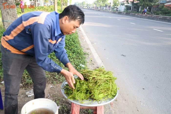 Hơn 40 tuổi vẫn sống độc thân, anh Hùng nhiều lần gác lại chuyện lập gia đình để chăm sóc mẹ già. Đằng sau những bó rau đọt choại bày bán tại các chợ và ven đường ở TP HCM là biết bao giờ lội bùn, những chuyến đi đầy hiểm nguy cùng nghị lực mưu sinh của người lao động nghèo