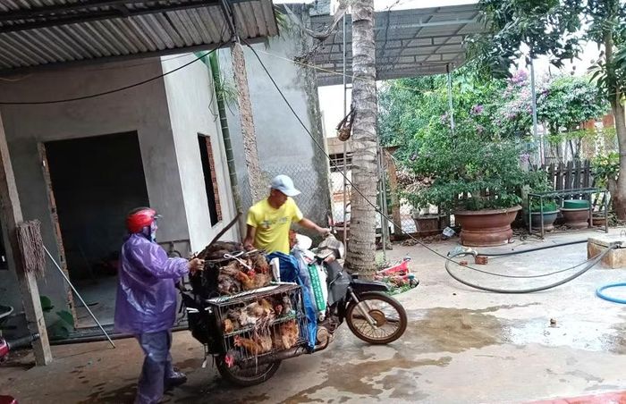 Có những gia đình cả vợ lẫn chồng đều nằm trong diện hợp đồng không xác định thời hạn, họ phải làm đủ nghề để tăng thu nhập. (Ảnh: TT)