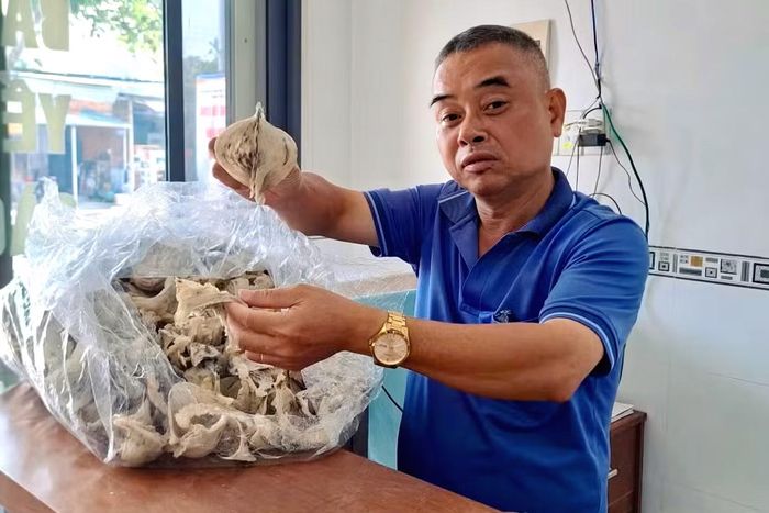 Ông Long cho biết sản lượng tổ yến tại cơ sở giảm từ 30 - 35% so với giai đoạn trước