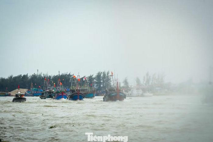 Tình huống giả định đặt ra trong diễn tập là cơn bão quốc tế có tên TRAMI, sau khi đổ bộ vào Philippines đã đi vào Biển Đông và trở thành cơn bão số 3 với cường độ rất mạnh, sức gió cấp 15-16, giật cấp 17, ảnh hưởng trực tiếp đến tỉnh Ninh Bình và Hưng Yên.