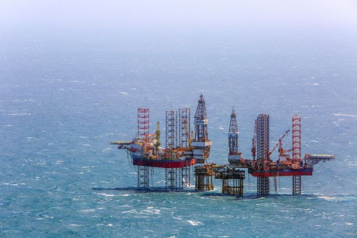 Tam Đảo 05 là một trong những giàn khoan tự nâng hiện đại của Vietsovpetro với trọng lượng khoảng 18.000 tấn, chiều dài thân giàn 167 m và khả năng hoạt động tại vùng biển sâu tới 120 m. Sau khi hoàn thành đại tu tại dock sửa chữa của PVSM, giàn khoan sẽ tiếp tục vươn khơi với hành trình đến mỏ Bạch Hổ để tiếp tục hoạt động thăm dò, khai thác.
