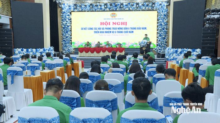 Quang cảnh hội nghị. Ảnh: TN