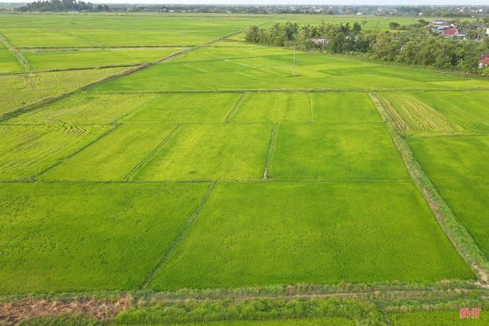Theo tìm hiểu, trong chiều dài 8,43 km của dự án, phần lớn đi qua đất nông nghiệp.