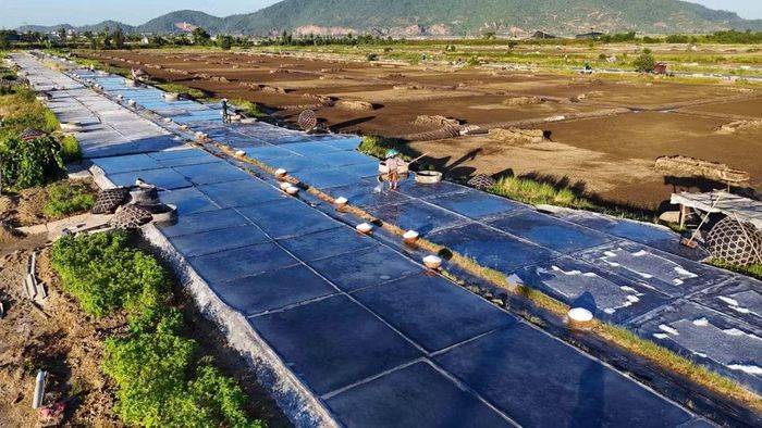 Những ô nại trắng loang loáng nước muối. (Ảnh: Hữu Quyết/TTXVN)