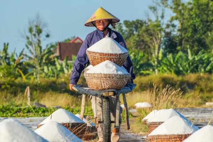 Dù thu nhập thấp nhưng người dân Châu Hạ vẫn giữ nghề muối truyền thống. (Ảnh: Hữu Quyết/TTXVN)
