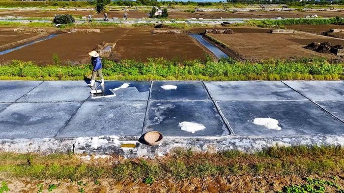 Muối được vun thành từng đống nhỏ ngay trên ô nại. (Ảnh: Hữu Quyết/TTXVN)
