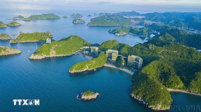  Việc chủ động kiểm kê khí nhà kính, giảm phát thải và tham gia thị trường carbon sẽ trở thành yếu tố quyết định năng lực cạnh tranh của doanh nghiệp trong tương lai. (Ảnh: TTXVN) 