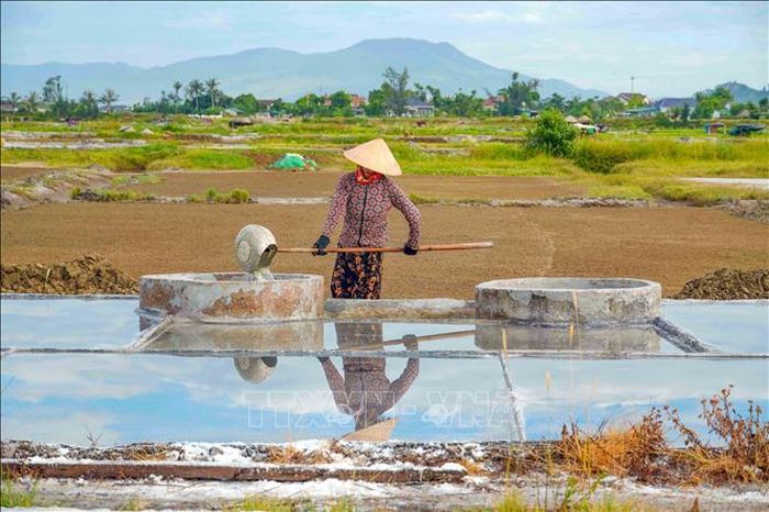 Người dân đưa nước mặn vào các bể lọc.