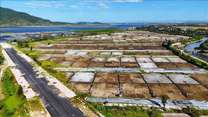 Cánh đồng muối Châu Hạ trải dài dưới nắng gắt của mùa hè.