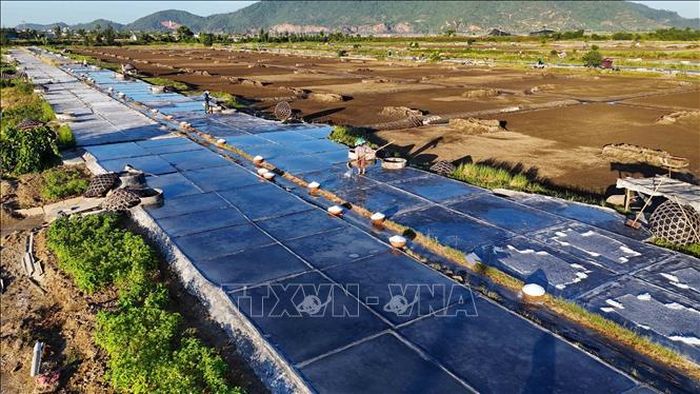 Những ô nại trắng loang loáng nước muối.