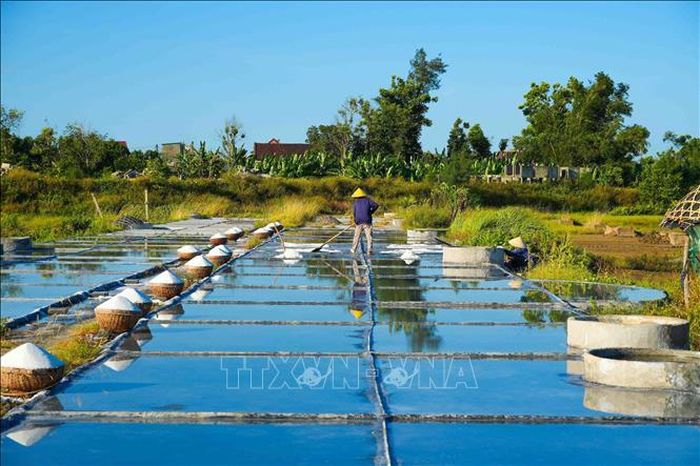 Vụ muối thường bắt đầu từ tháng 3, cao điểm vào các tháng 5, 6 hàng năm.