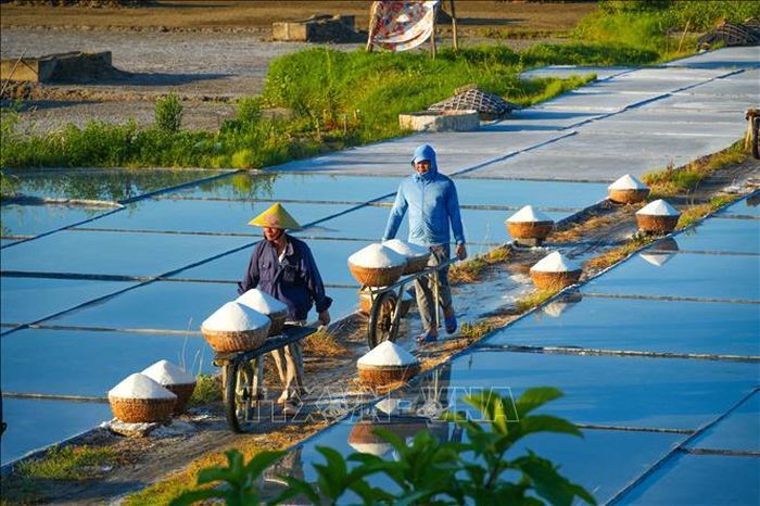 Người dân vận chuyển muối từ nơi sản xuất về nhà.